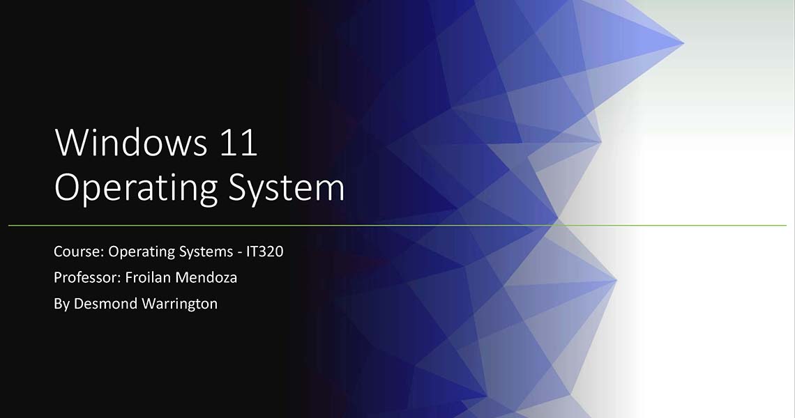Operating systems course project